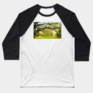 Spanish Moss in Trees Baseball T-Shirt